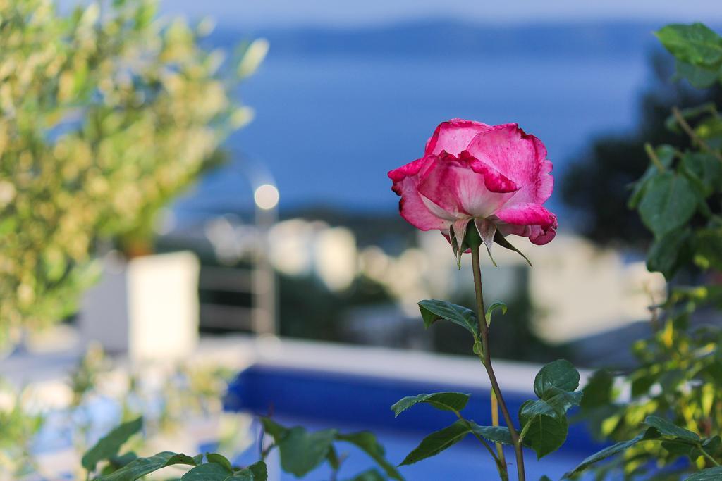 Villa Levanda Макарска Экстерьер фото